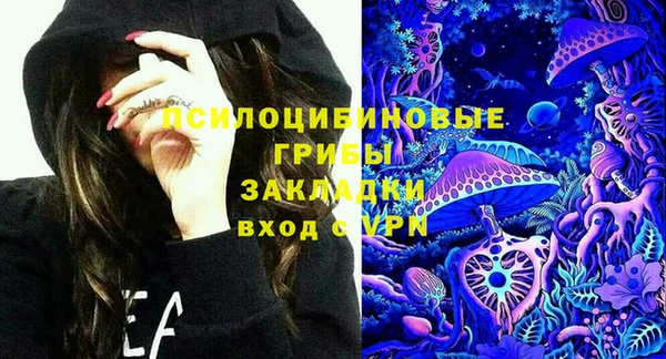 ГАЛЛЮЦИНОГЕННЫЕ ГРИБЫ Верея